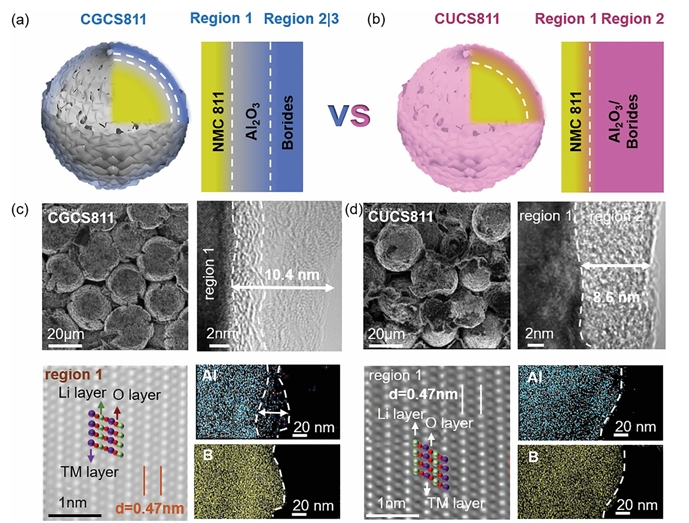 方岱宁院士先进结构工程科学思想启发设计不同表面结构包覆的三元正极NMC811材料